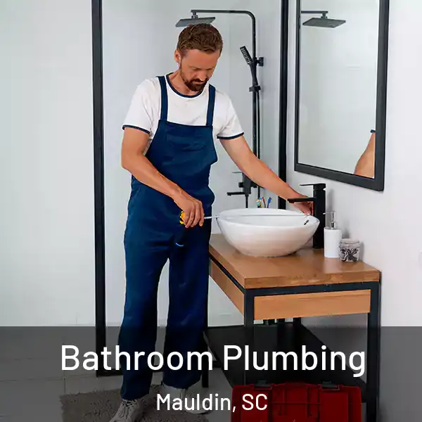  Bathroom Plumbing Mauldin, SC