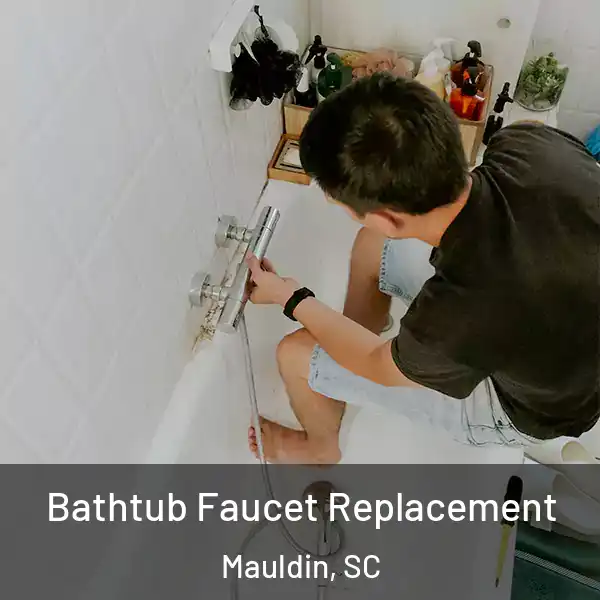  Bathtub Faucet Replacement Mauldin, SC