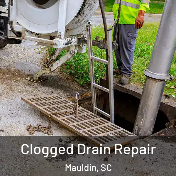  Clogged Drain Repair Mauldin, SC