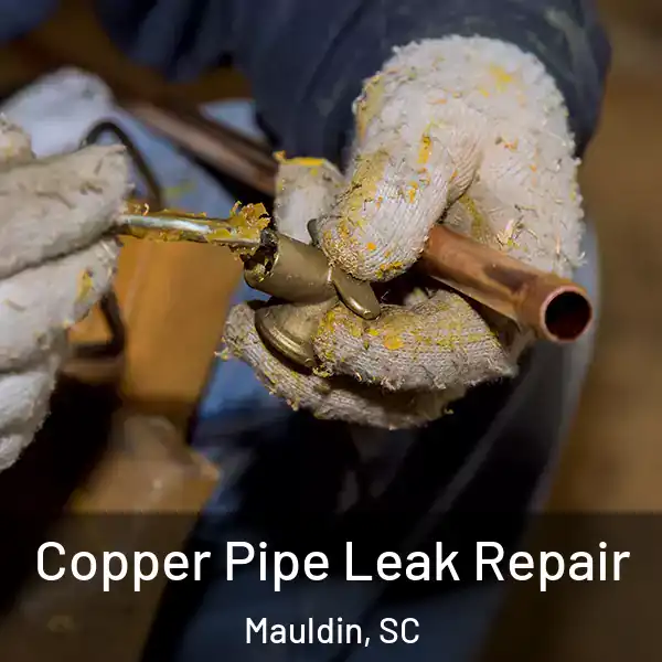  Copper Pipe Leak Repair Mauldin, SC
