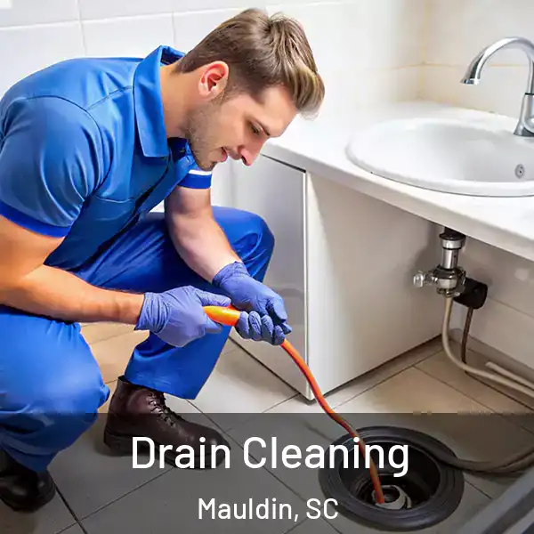  Drain Cleaning Mauldin, SC