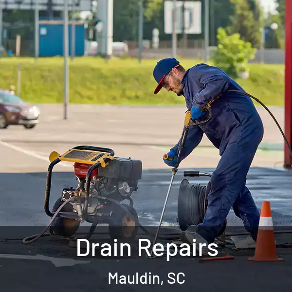  Drain Repairs Mauldin, SC