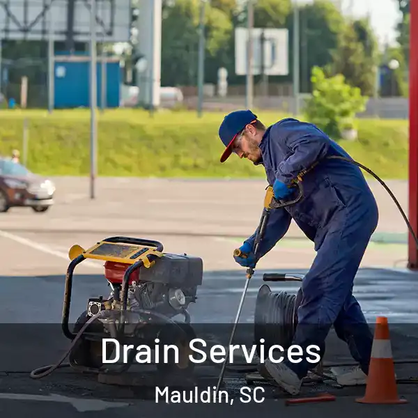  Drain Services Mauldin, SC
