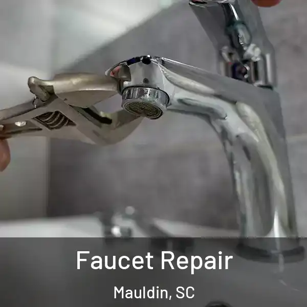  Faucet Repair Mauldin, SC