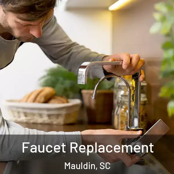  Faucet Replacement Mauldin, SC