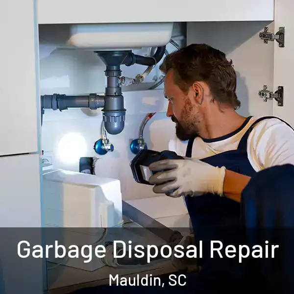  Garbage Disposal Repair Mauldin, SC