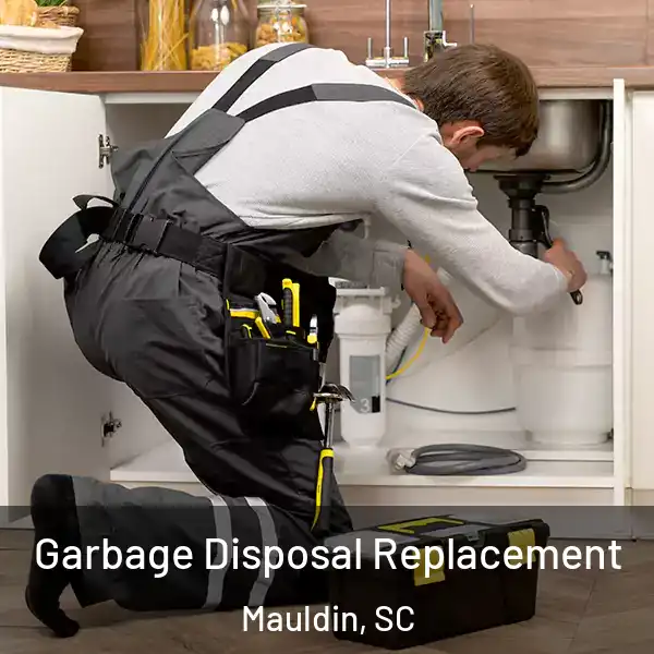  Garbage Disposal Replacement Mauldin, SC