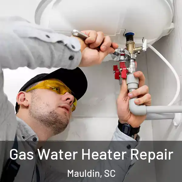  Gas Water Heater Repair Mauldin, SC