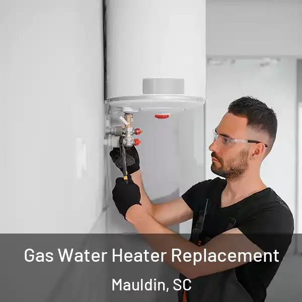  Gas Water Heater Replacement Mauldin, SC