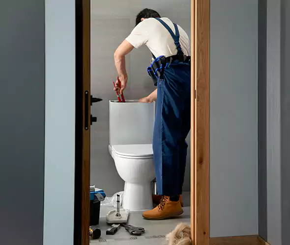 Professional Plumbers for Toilet Bowl Replacement in Mauldin, SC: Schedule Affordable Toilet Replacement Services With Us