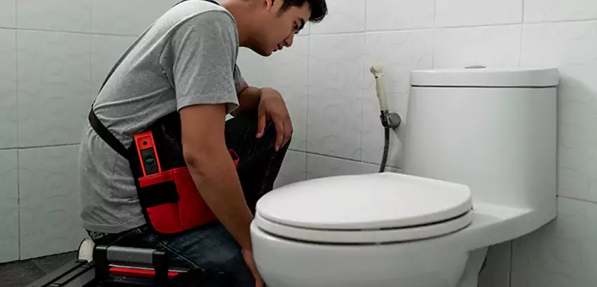 Toilet Repair in Mauldin
