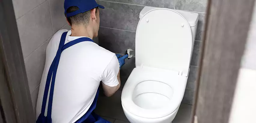 Toilet Lid Replacement in Mauldin
