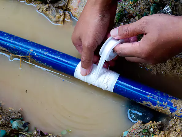  Why Choose Mauldin Plumbing Pro for Leak Detection in Mauldin, SC?]