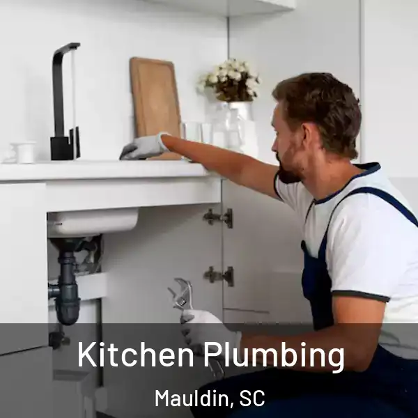  Kitchen Plumbing Mauldin, SC