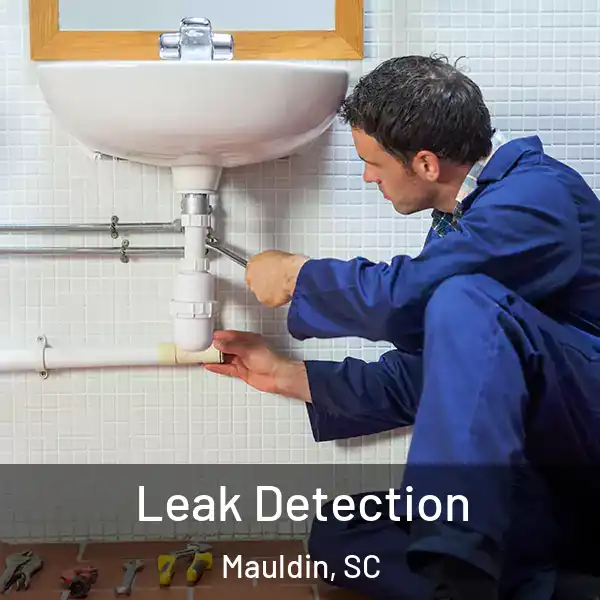  Leak Detection Mauldin, SC