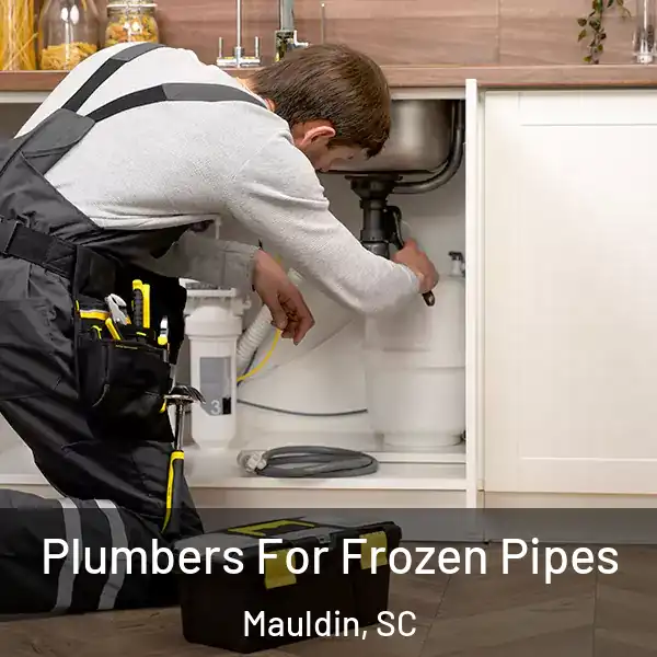 Plumbers For Frozen Pipes Mauldin, SC