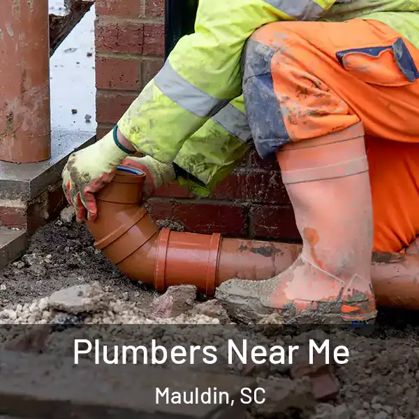  Plumbers Near Me Mauldin, SC