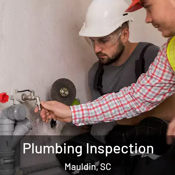  Plumbing Inspection Mauldin, SC