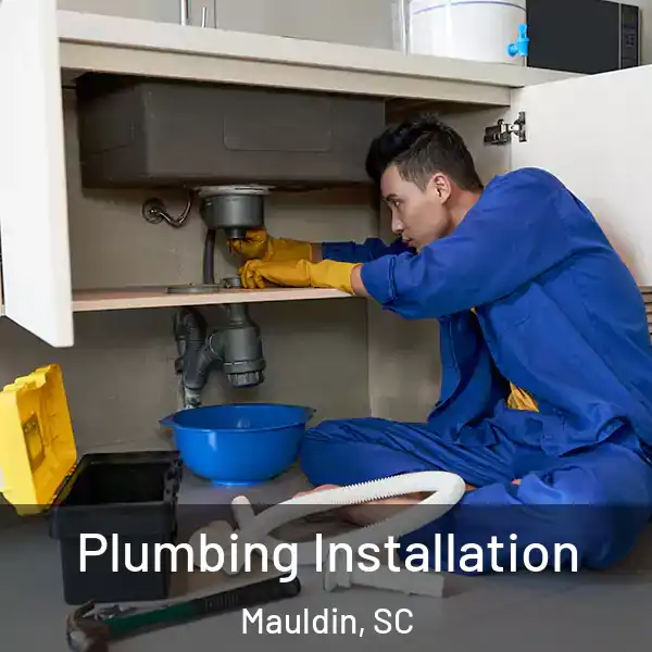  Plumbing Installation Mauldin, SC