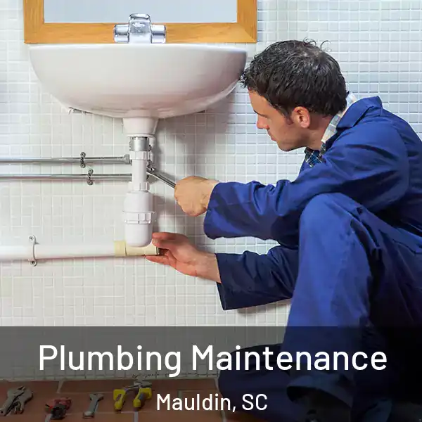  Plumbing Maintenance Mauldin, SC