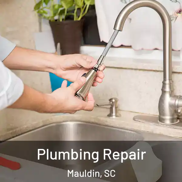  Plumbing Repair Mauldin, SC