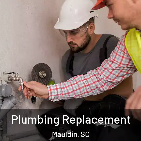  Plumbing Replacement Mauldin, SC