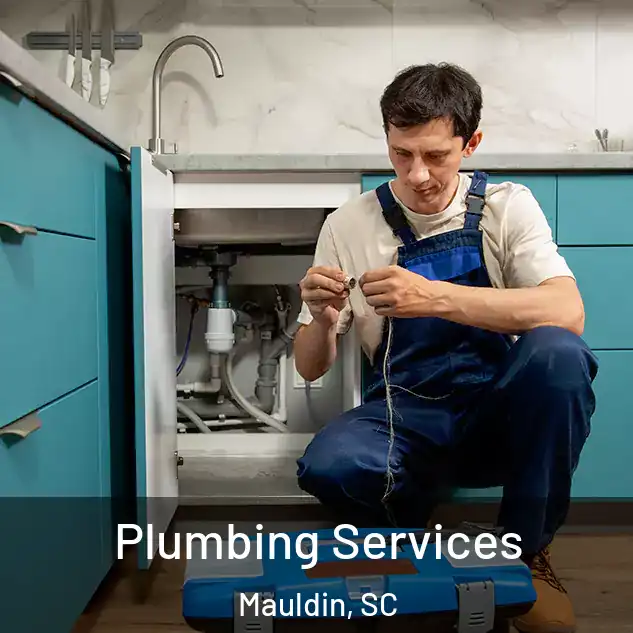 Plumbing Services Mauldin, SC