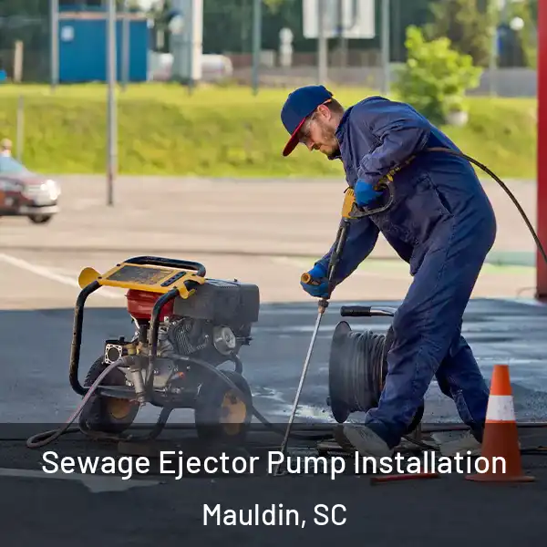  Sewage Ejector Pump Installation Mauldin, SC