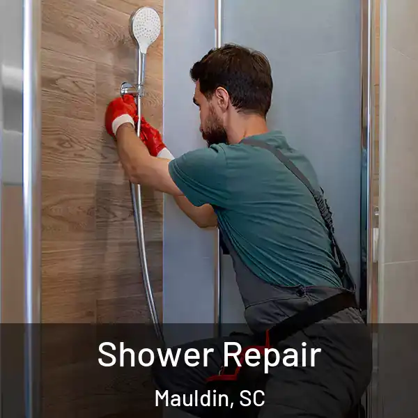  Shower Repair Mauldin, SC