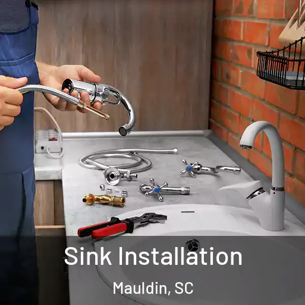  Sink Installation Mauldin, SC
