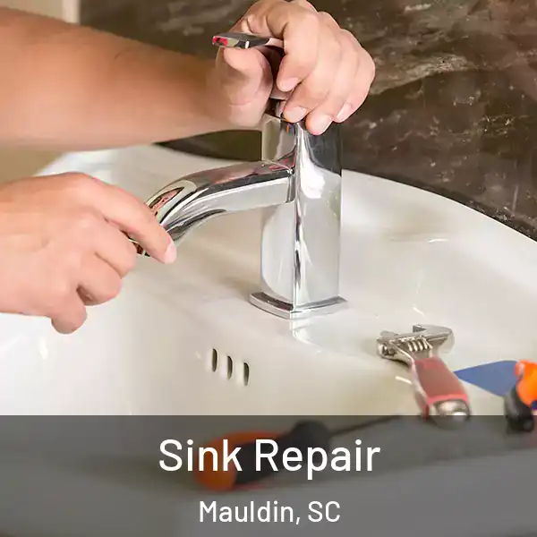  Sink Repair Mauldin, SC