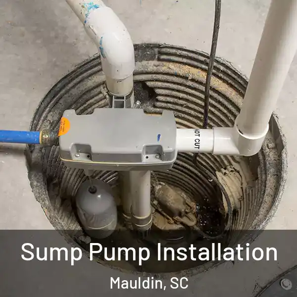  Sump Pump Installation Mauldin, SC