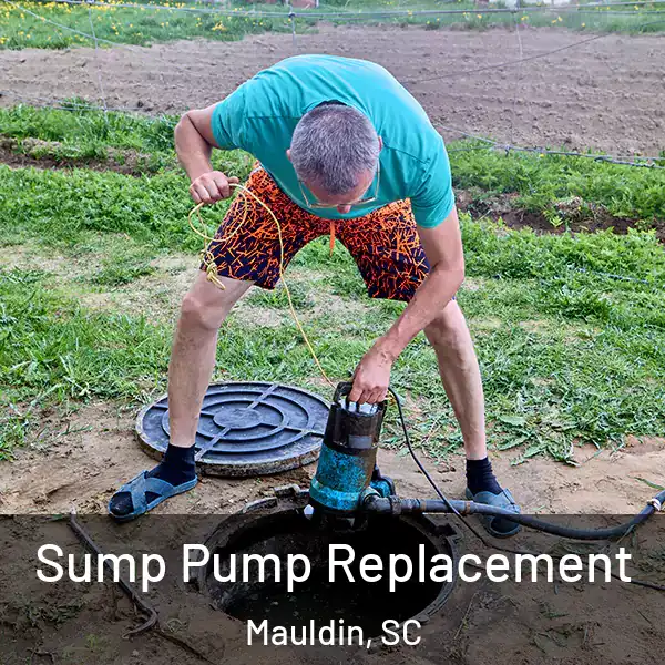  Sump Pump Replacement Mauldin, SC