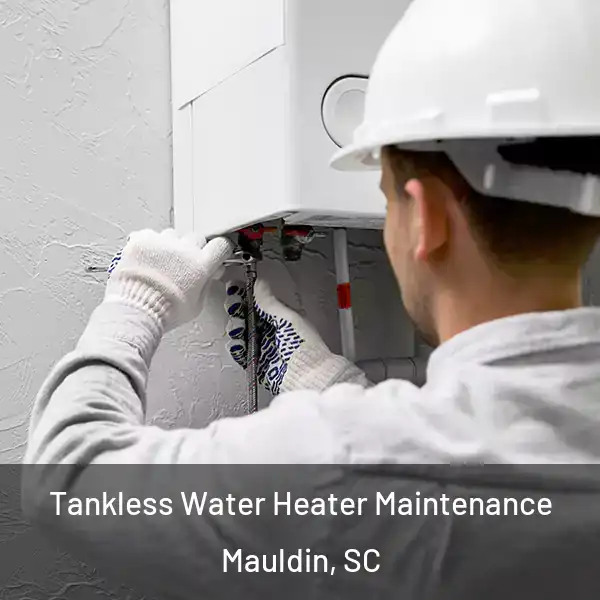  Tankless Water Heater Maintenance Mauldin, SC