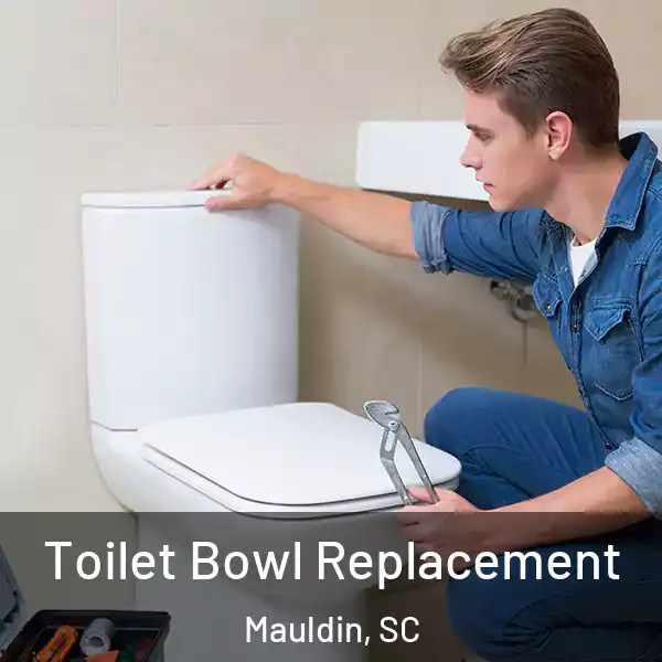  Toilet Bowl Replacement Mauldin, SC