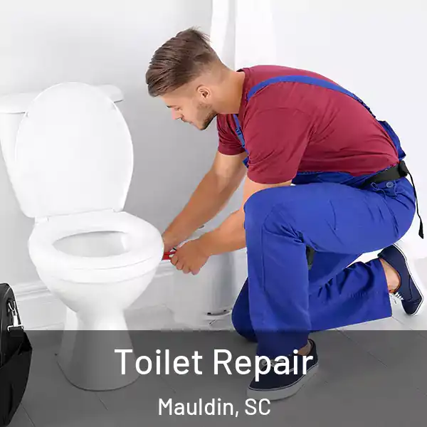  Toilet Repair Mauldin, SC