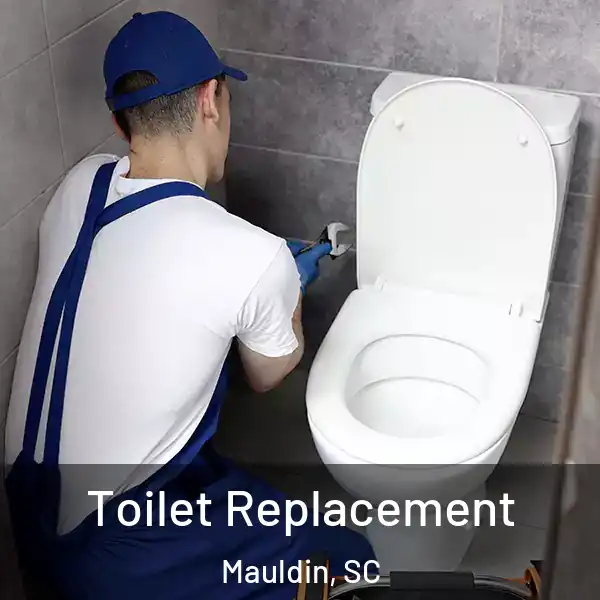  Toilet Replacement Mauldin, SC