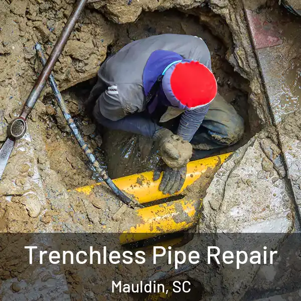  Trenchless Pipe Repair Mauldin, SC