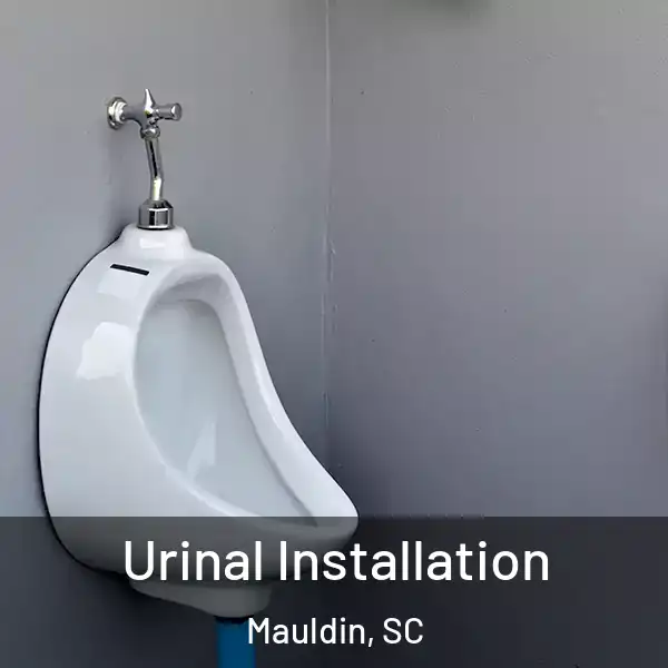  Urinal Installation Mauldin, SC