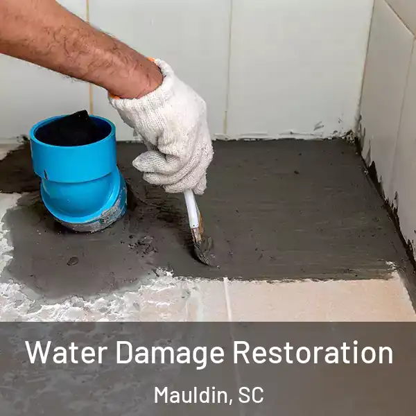  Water Damage Restoration Mauldin, SC