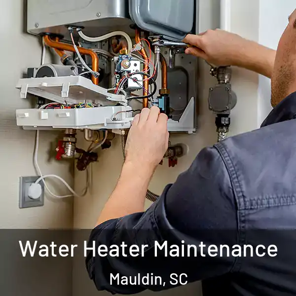  Water Heater Maintenance Mauldin, SC