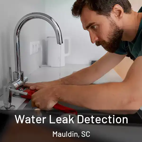  Water Leak Detection Mauldin, SC