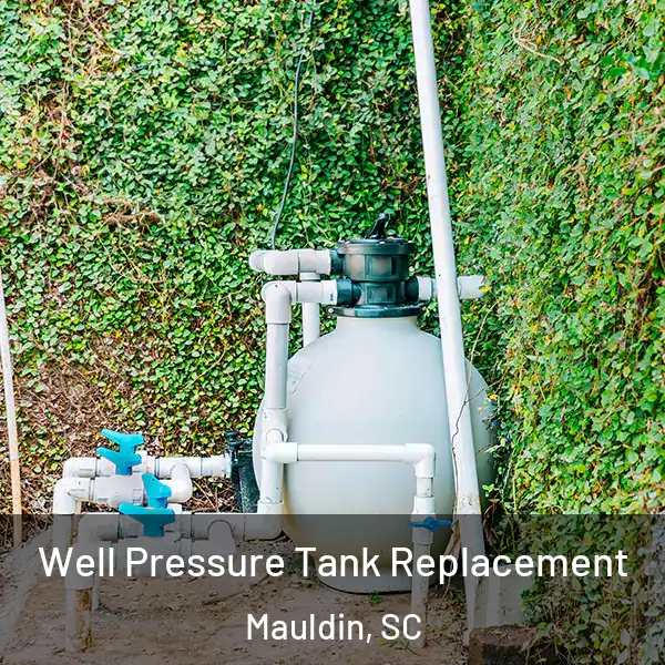  Well Pressure Tank Replacement Mauldin, SC