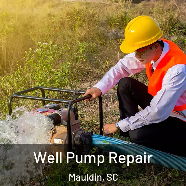  Well Pump Repair Mauldin, SC